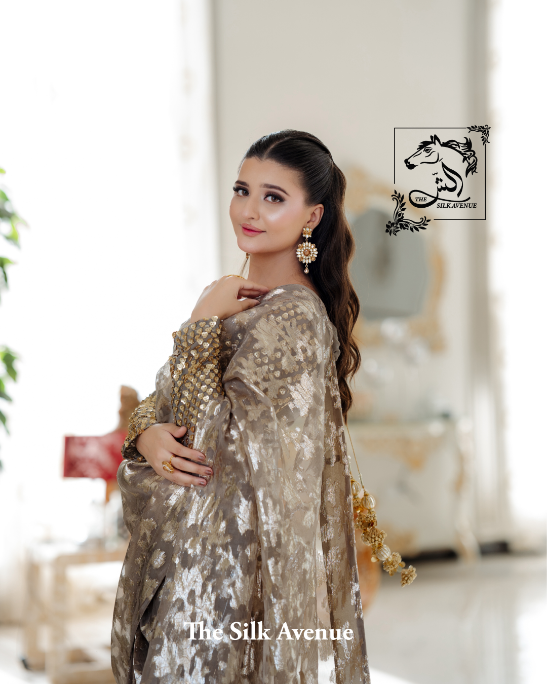 Timeless Banarsi Organza Sarree
